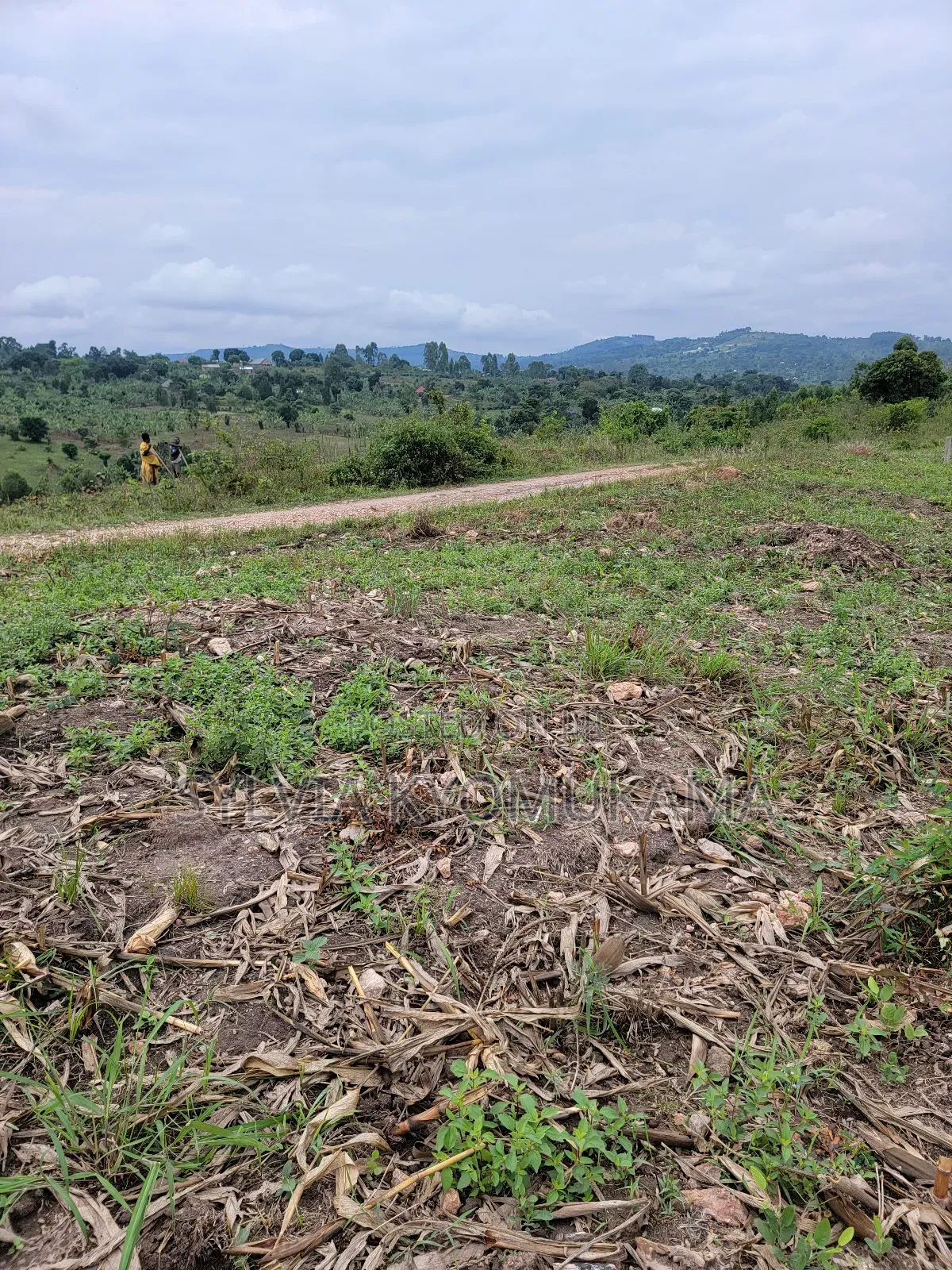 Plots for Sale