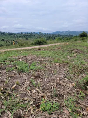 Plots for Sale