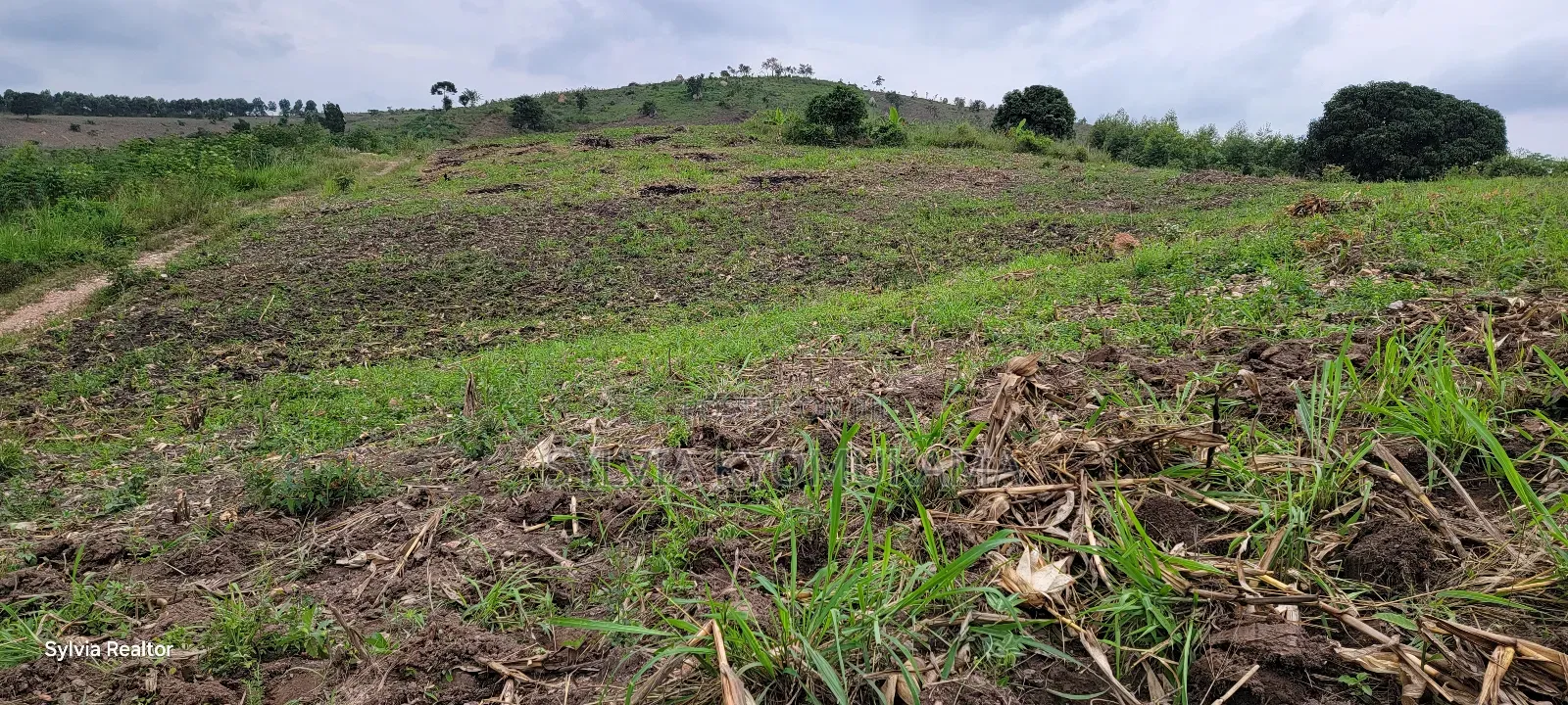 Plots for Sale