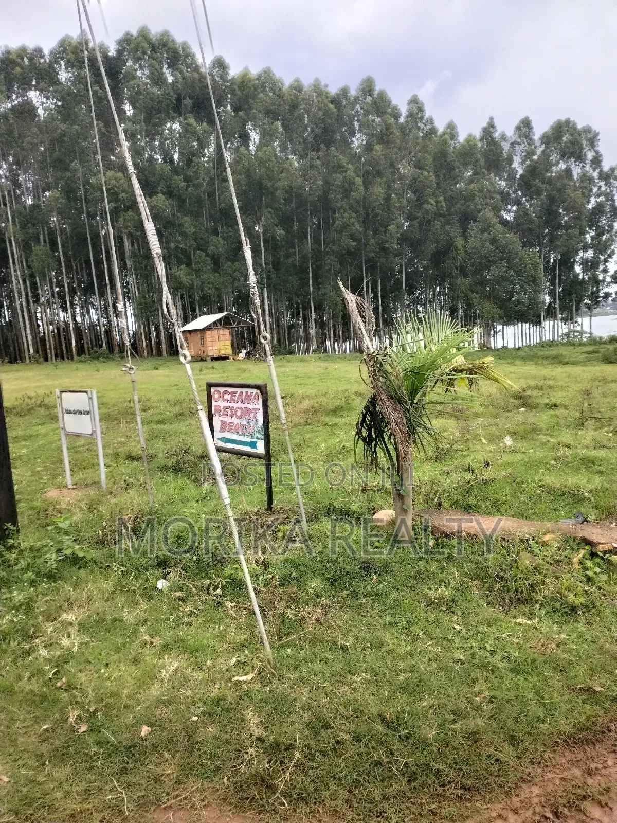 Nkumba With Lake View