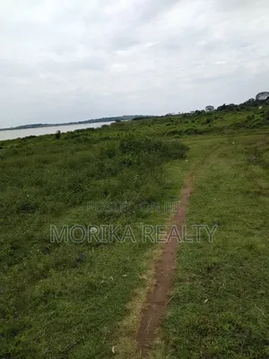 Nkumba With Lake View