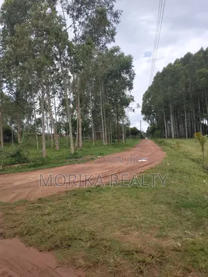 Nkumba With Lake View