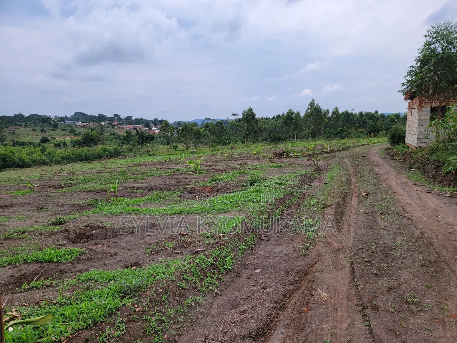 Plots for Sale
