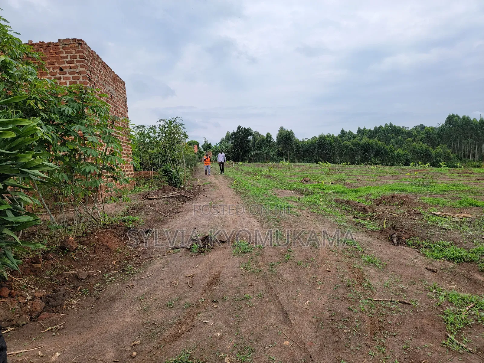 Plots for Sale