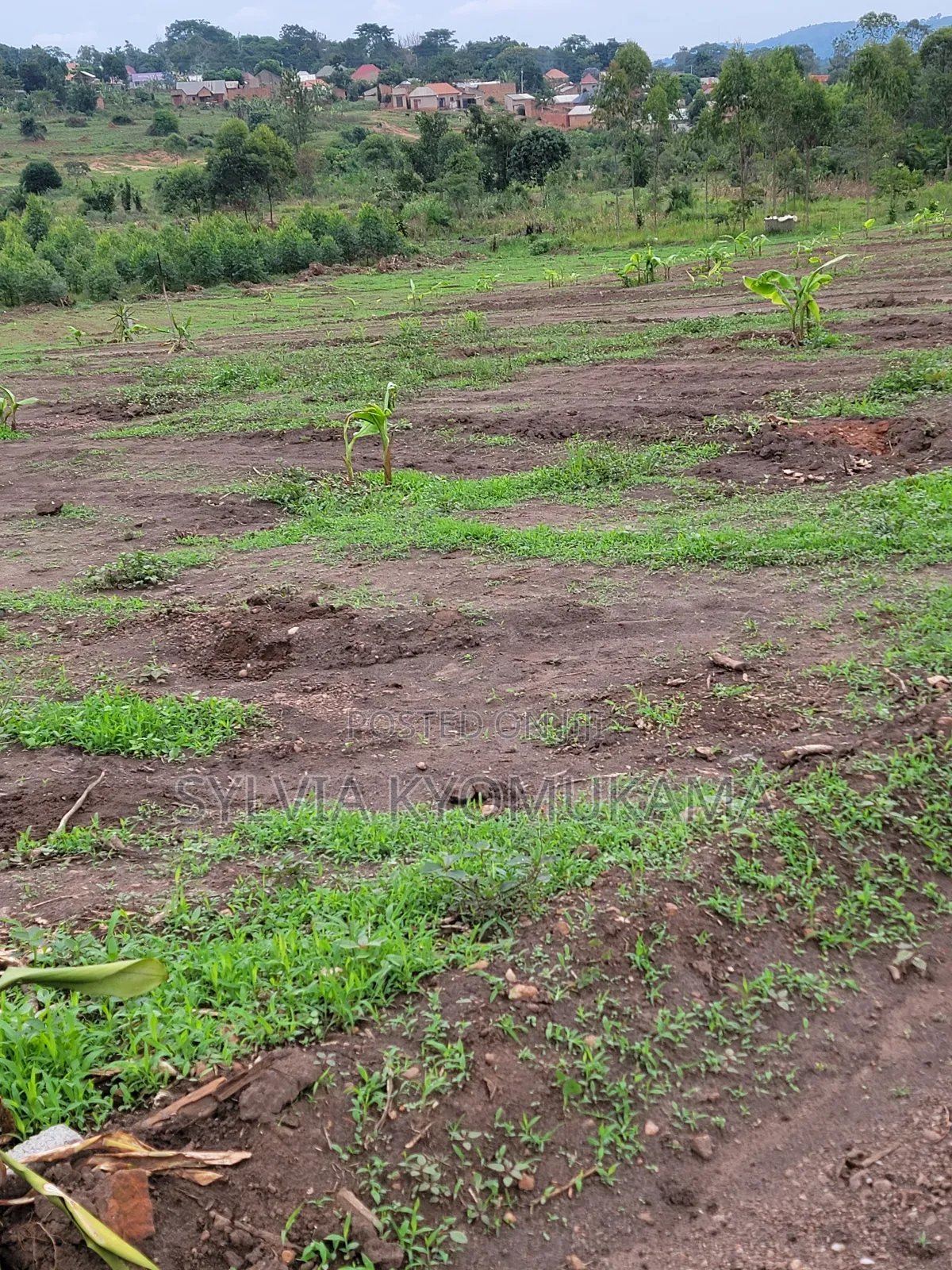 Plots for Sale