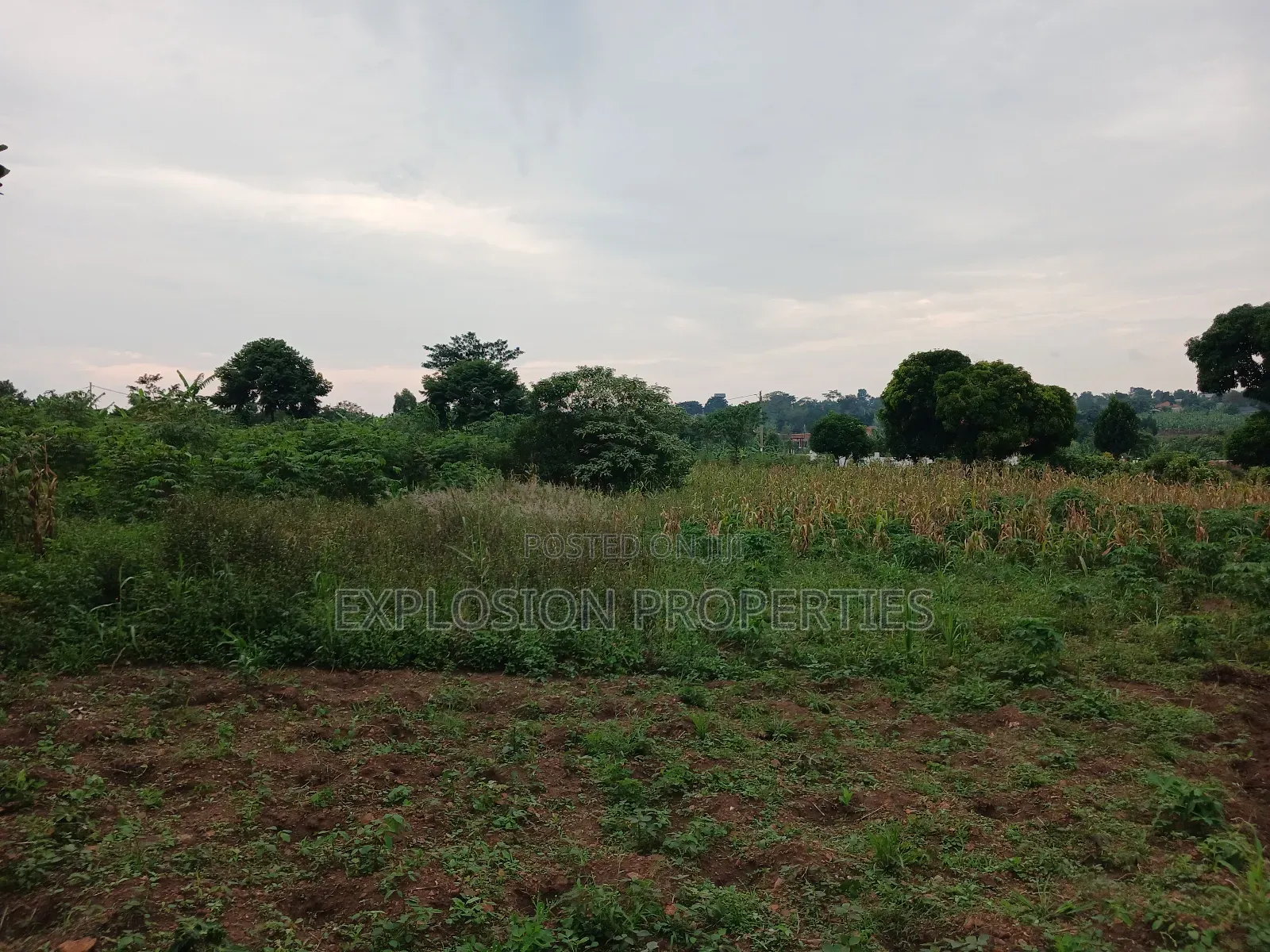 7 Acres for Sale at Gayaza Busiika