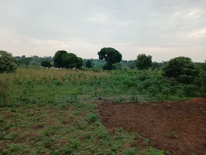 7 Acres for Sale at Gayaza Busiika