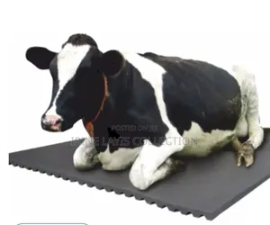 Non Slip Rubber Cow Mattresses/ Mats