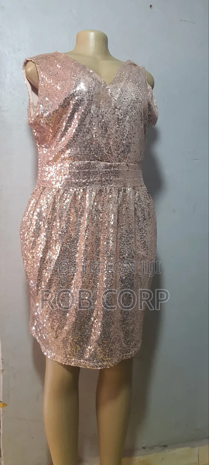 Beautiful Dress