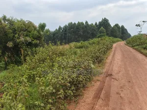 5acres of Agricultural Land on Sale in Nyatungo