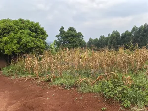 5acres of Agricultural Land on Sale in Nyatungo