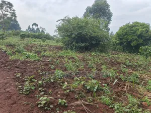 5acres of Agricultural Land on Sale in Nyatungo