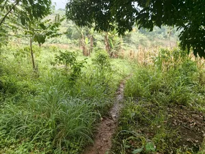5acres of Agricultural Land on Sale in Nyatungo