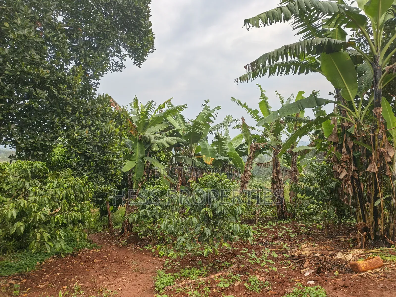 5acres of Agricultural Land on Sale in Nyatungo