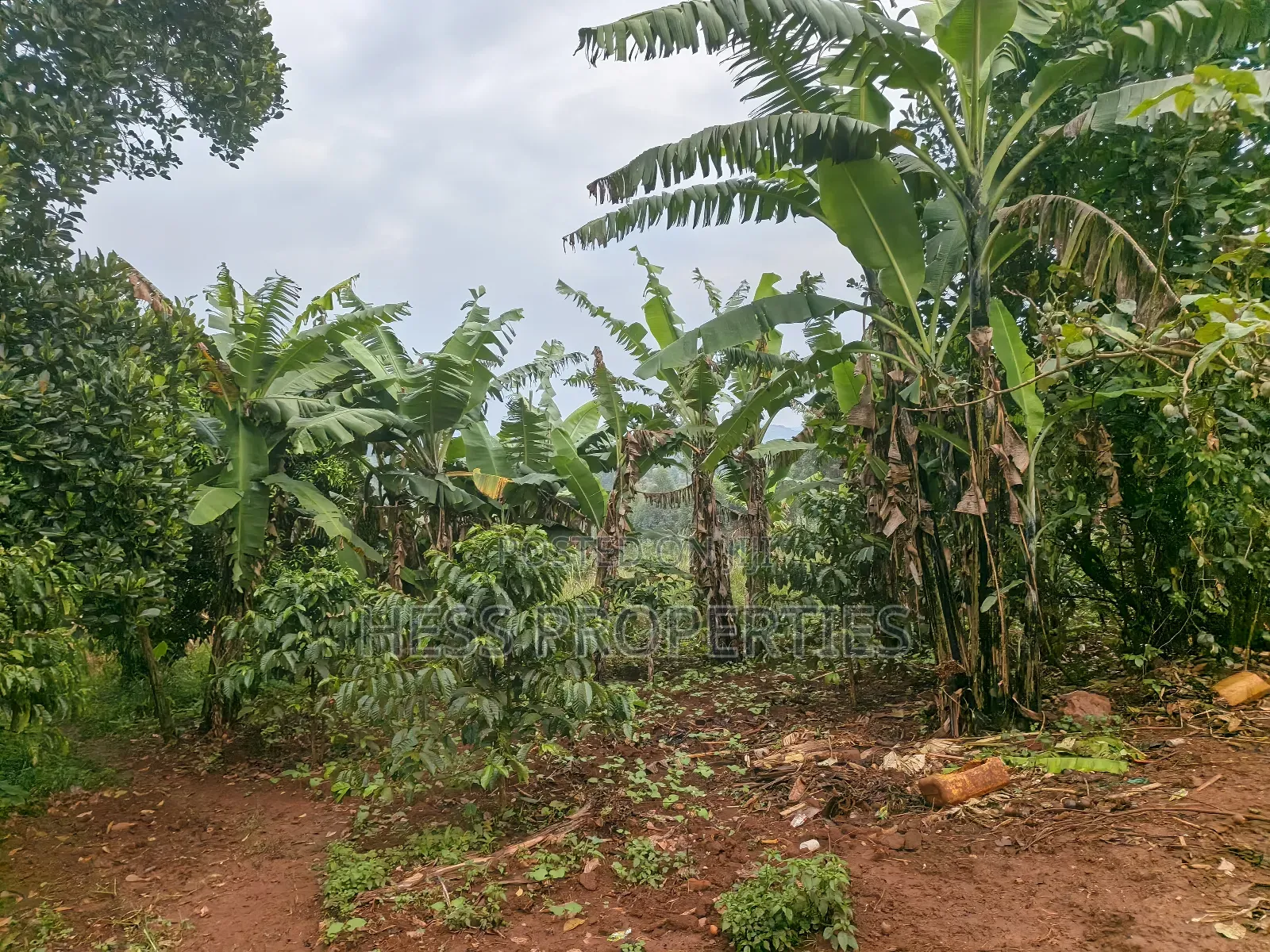 5acres of Agricultural Land on Sale in Nyatungo