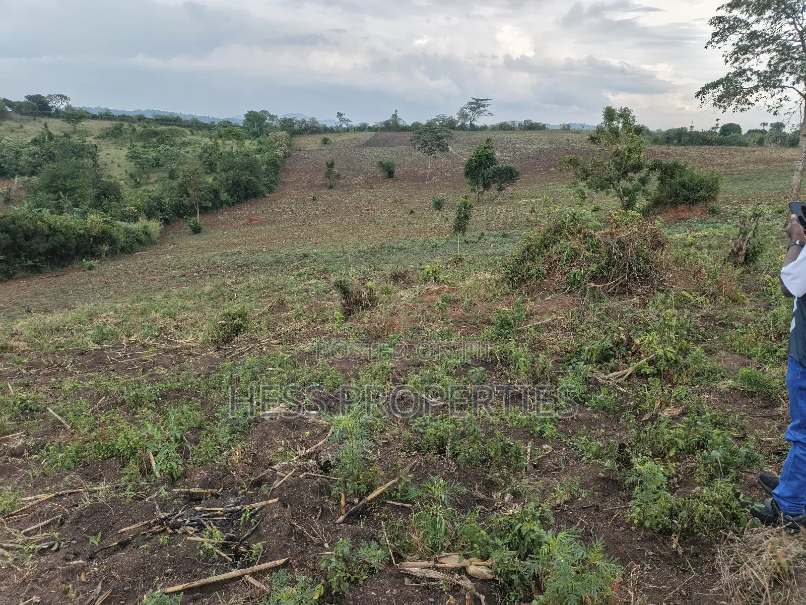 15acres of Titled Land on Sale Located in Butunduzi