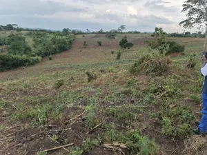 15acres of Titled Land on Sale Located in Butunduzi