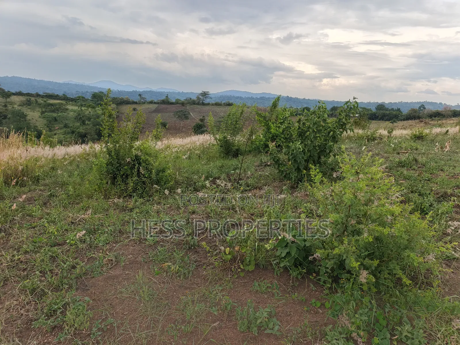 15acres of Titled Land on Sale Located in Butunduzi