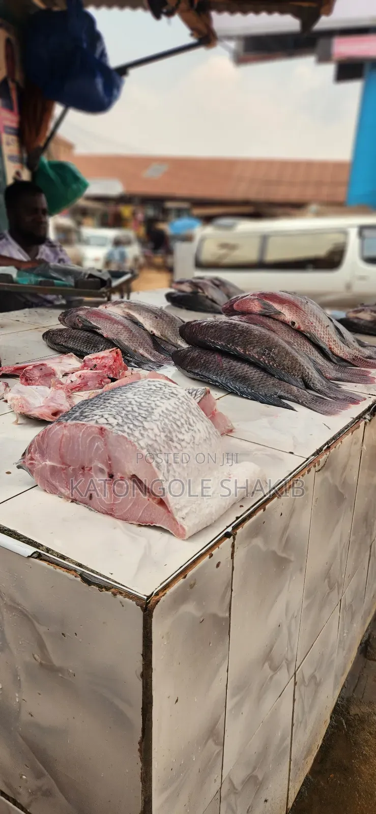 Tilapia Fish