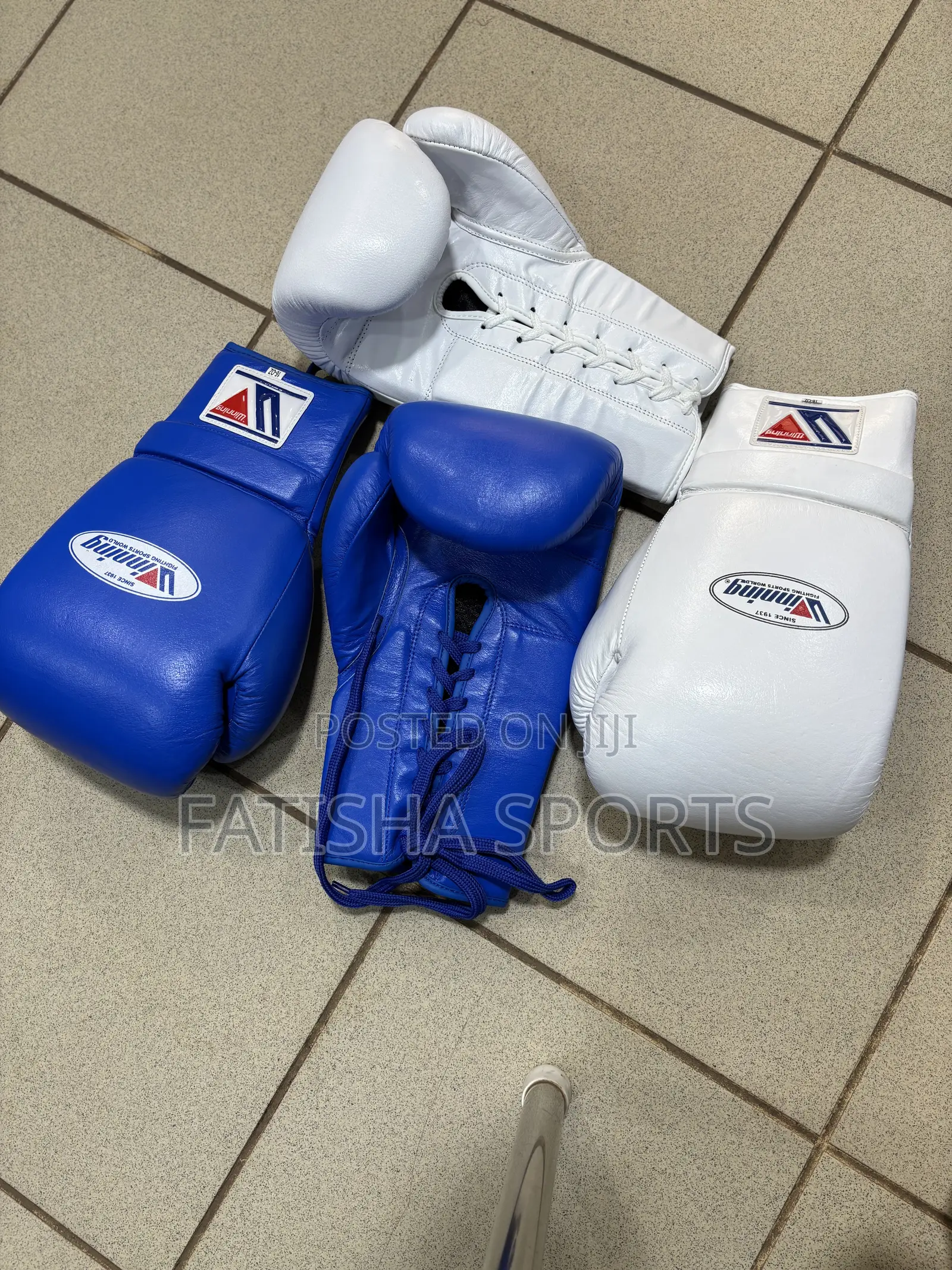 Winning Boxing Gloves