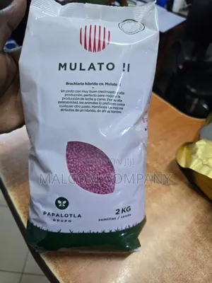 Mulato Pasture Grass Seed 2kg