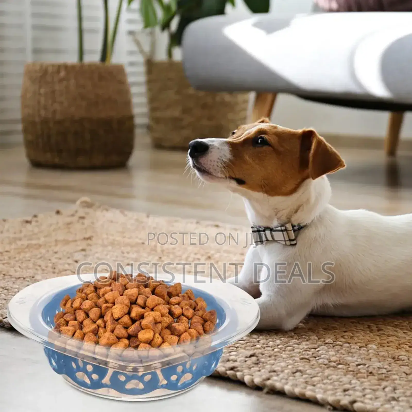 Dog Detachable Feeder Bowl Hanging Pet Food Bowl