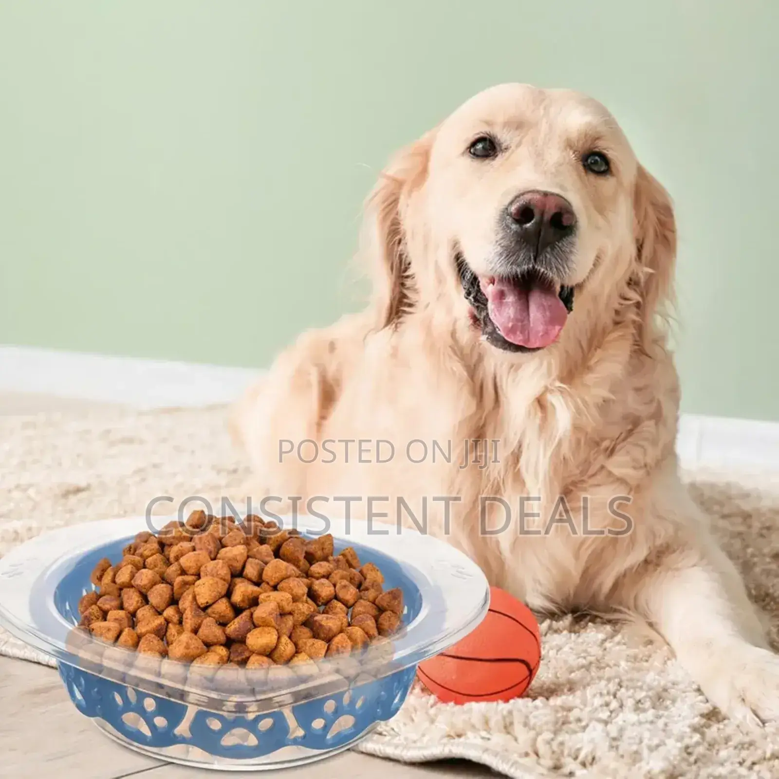 Dog Detachable Feeder Bowl Hanging Pet Food Bowl