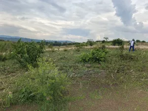 15acres of Titled Land on Sale Located in Butunduzi