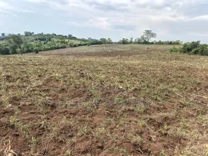 15acres of Titled Land on Sale Located in Butunduzi
