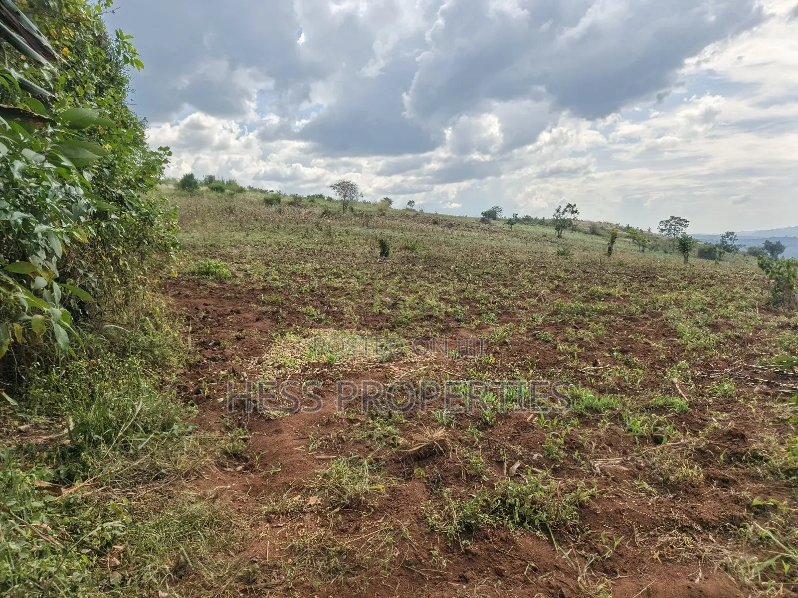 15acres of Titled Land on Sale Located in Butunduzi