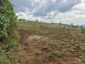 15acres of Titled Land on Sale Located in Butunduzi