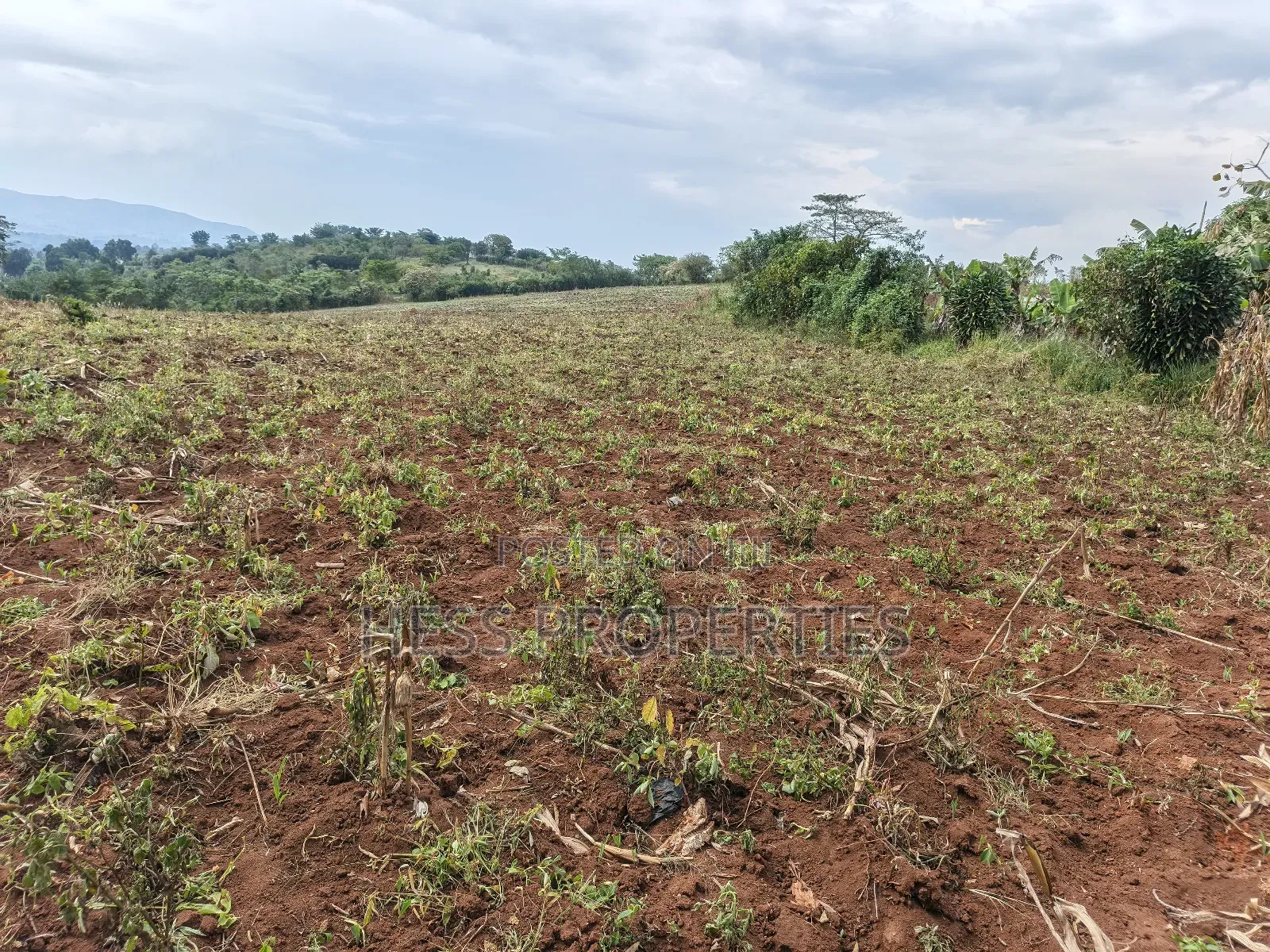 15acres of Titled Land on Sale Located in Butunduzi