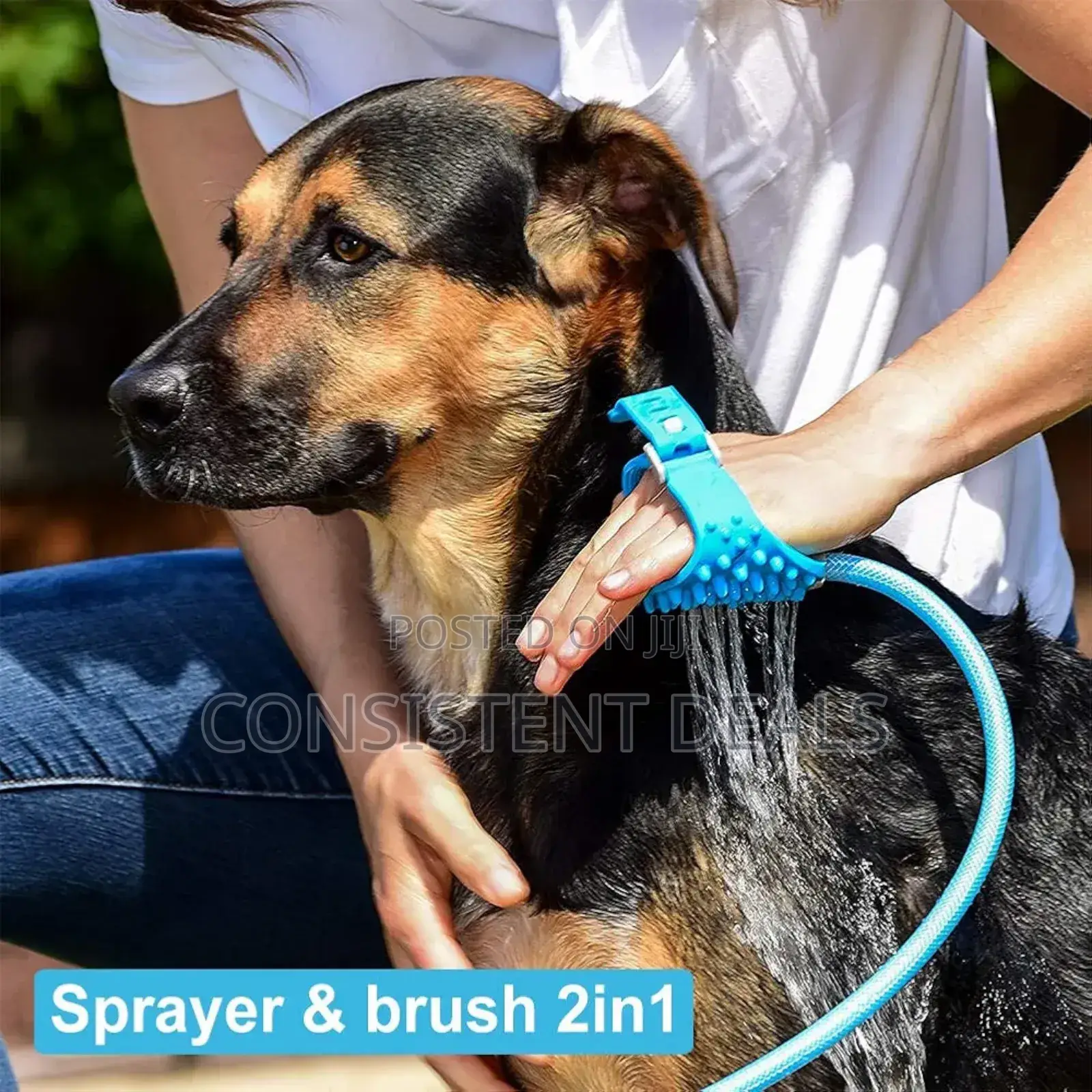 2 In 1 Dog Shower Sprayer, Pet Bath Tool, Pet Shower Sprayer