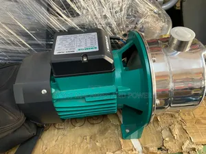 Surface Water Pump