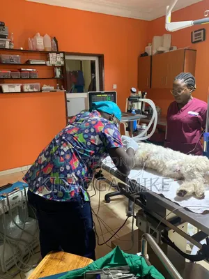 Pet Hospital