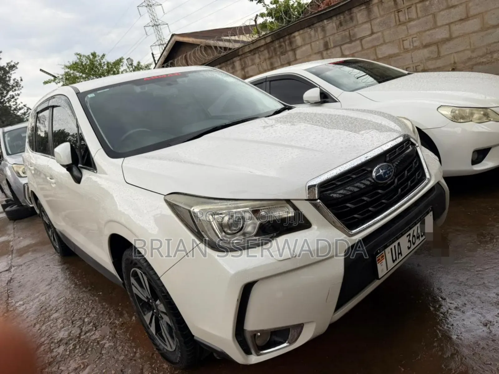 Subaru Forester 2016 White