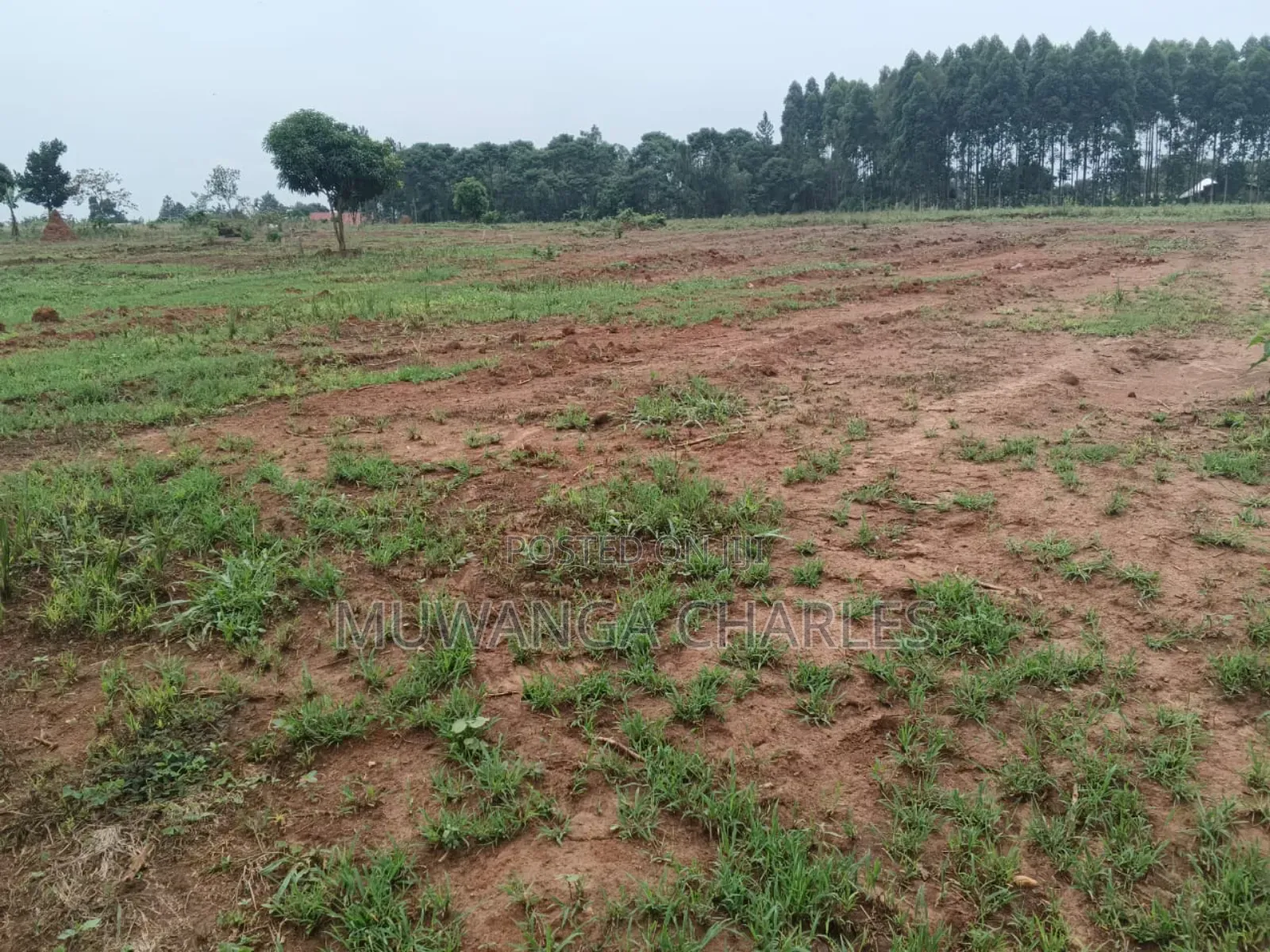 Plots on Sale in Gayaza Busika Phase 2
