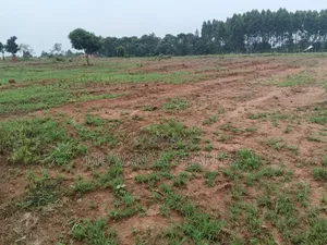Plots on Sale in Gayaza Busika Phase 2