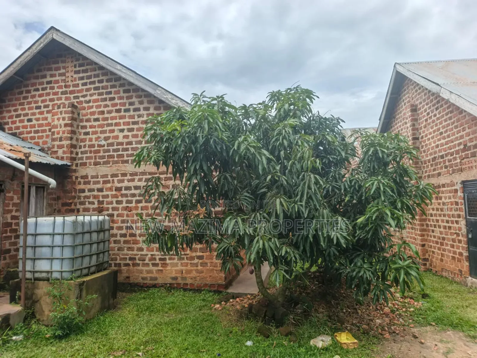 Poultry Farm With Three Structures on Quicksale in Mukono Namayuba