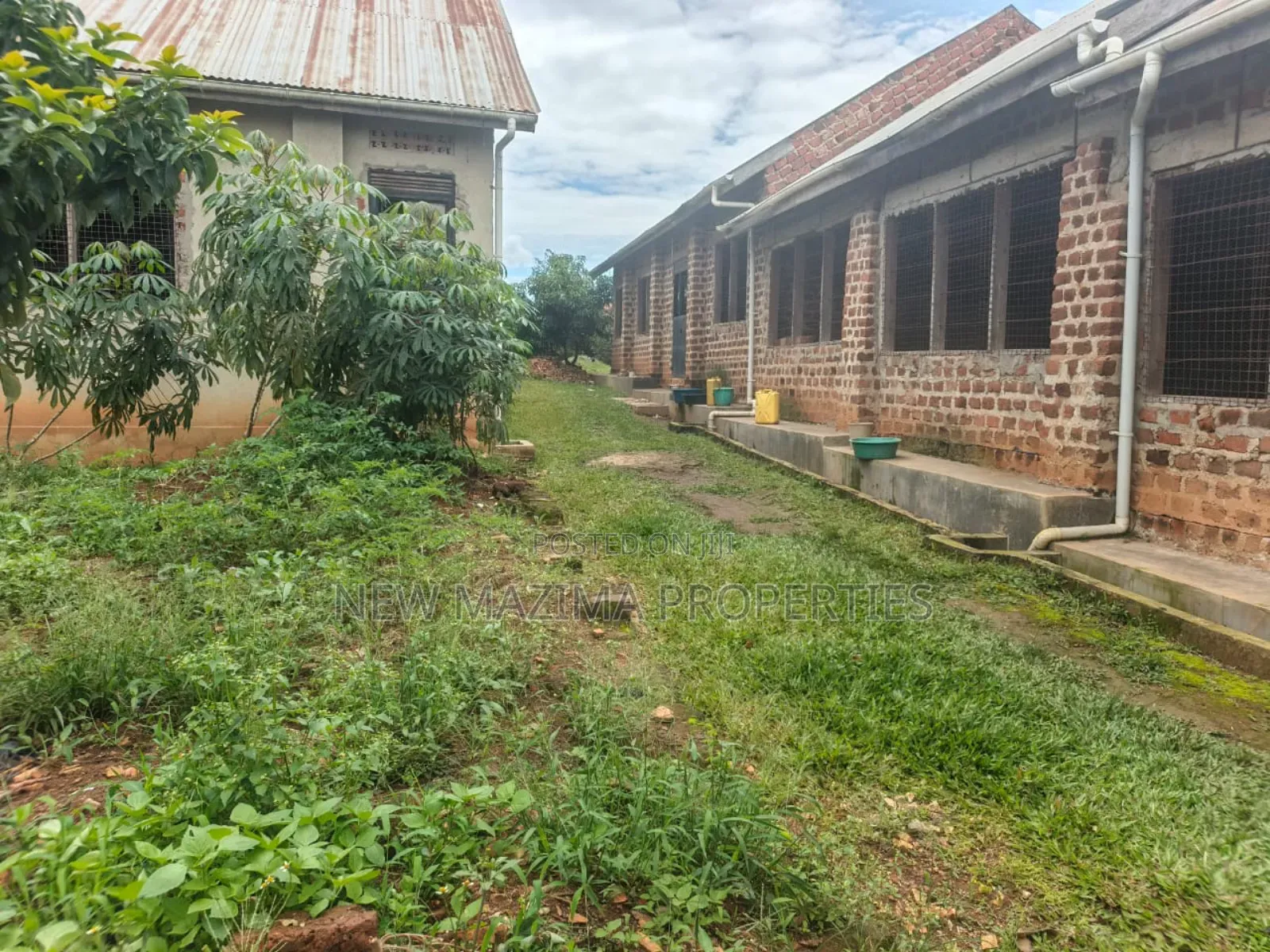 Poultry Farm With Three Structures on Quicksale in Mukono Namayuba