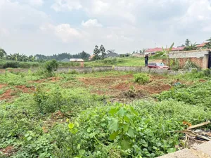 Plot on Sale in Kira Phase 3