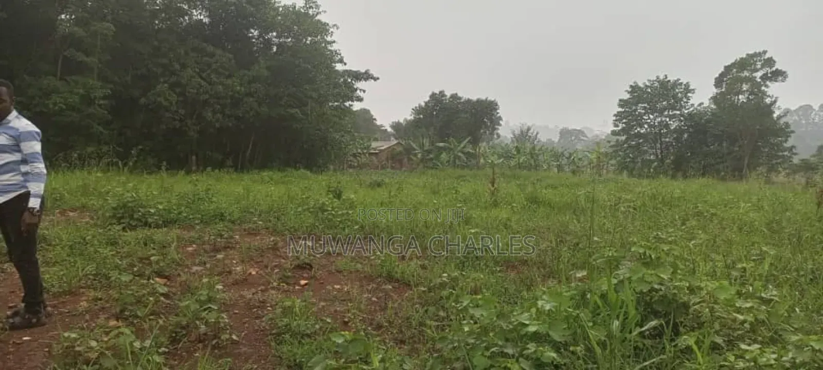 Plot on Sale in Kira Phase 3