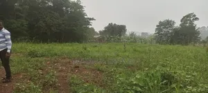 Plot on Sale in Kira Phase 3