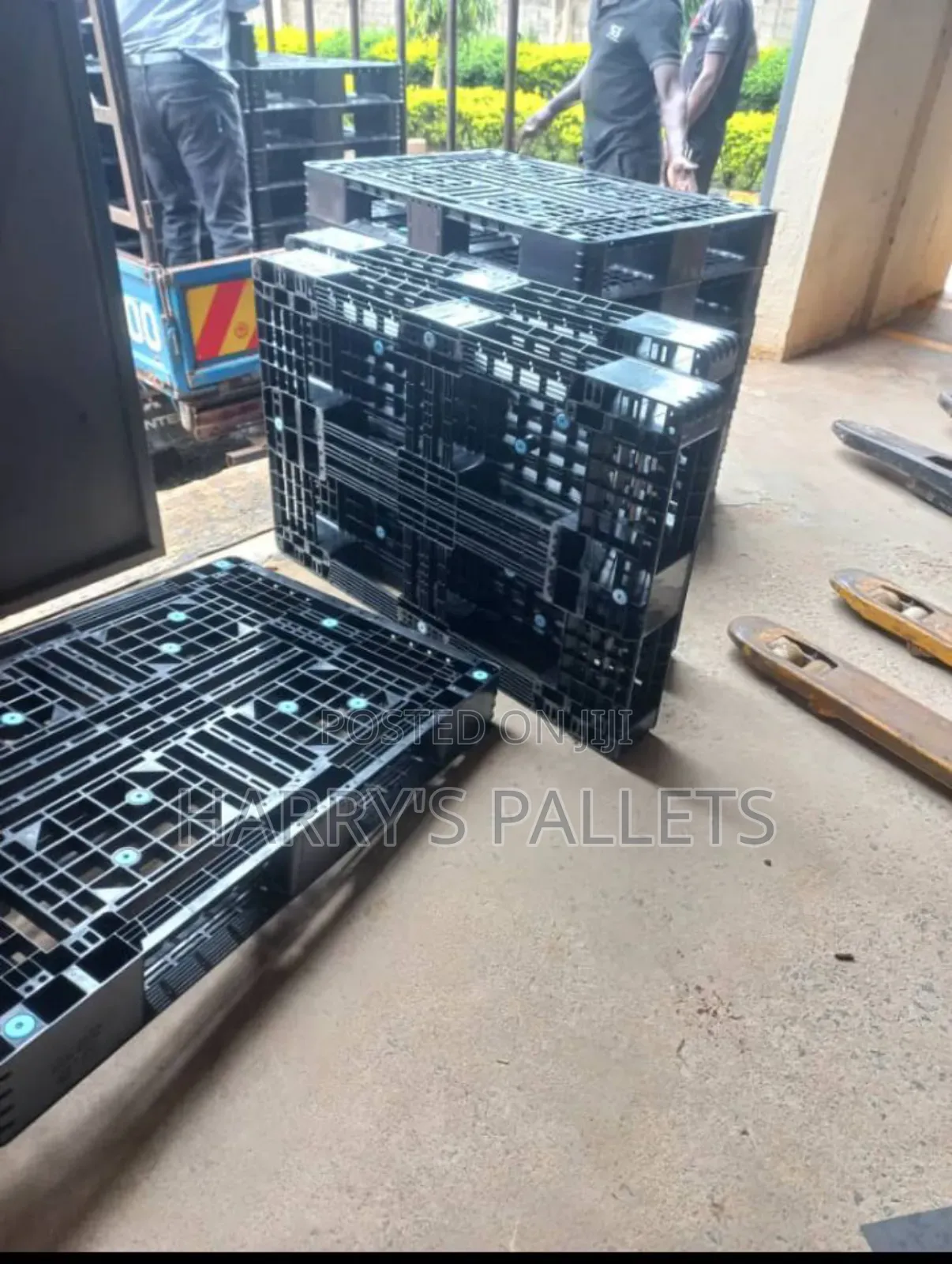Plastic Pallets