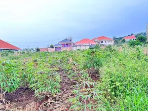 Plots on Sale in Kira Near Main