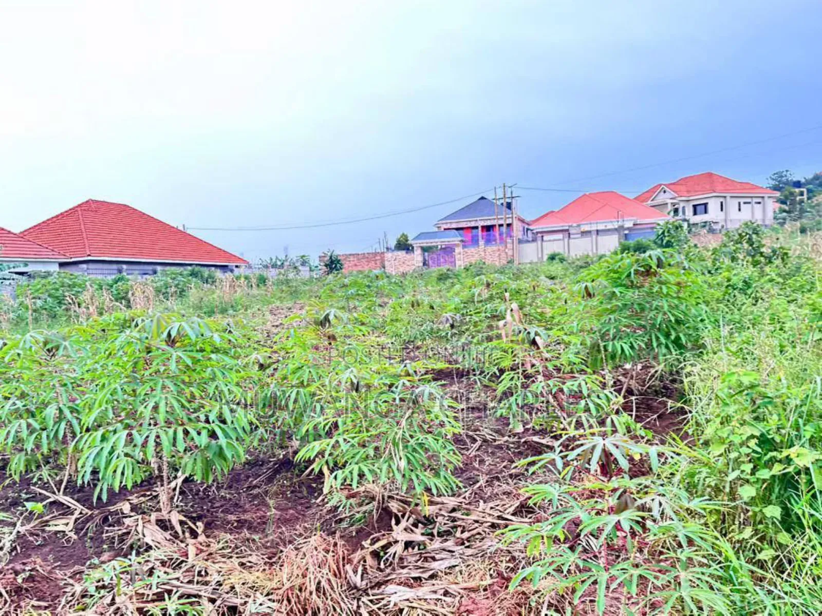 Plots on Sale in Kira Near Main
