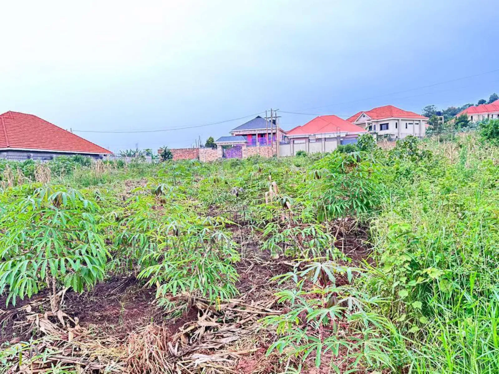 Plots on Sale in Kira Near Main