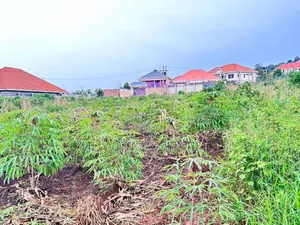 Plots on Sale in Kira Near Main