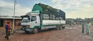 Fuso Fighter 6d17