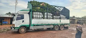 Fuso Fighter 6d17